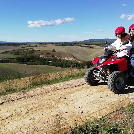 Appartamento Crete Senesi Castelnuovo Berardenga Exteriör bild