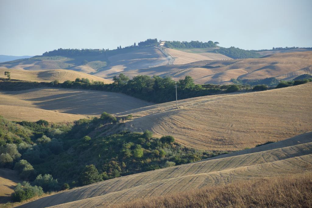 Appartamento Crete Senesi Castelnuovo Berardenga Exteriör bild