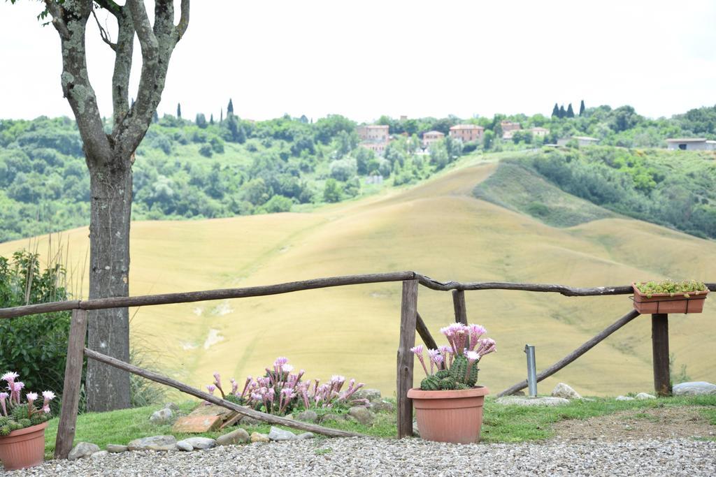 Appartamento Crete Senesi Castelnuovo Berardenga Exteriör bild