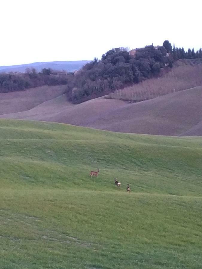 Appartamento Crete Senesi Castelnuovo Berardenga Exteriör bild